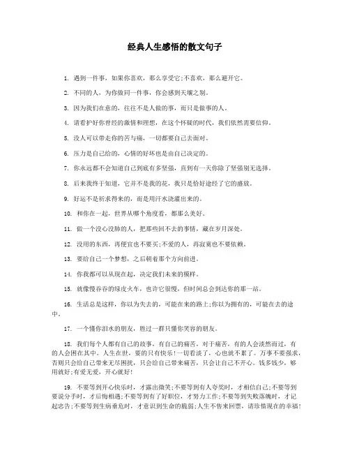 经典人生感悟的散文句子