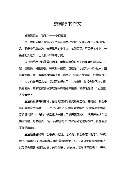 写动物的作文