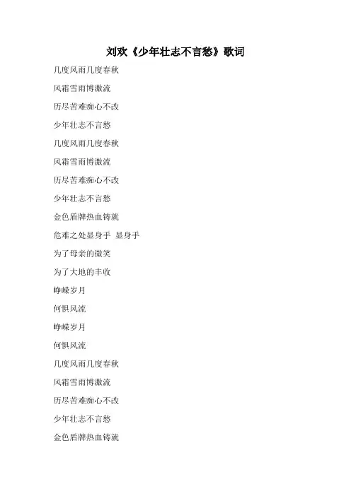 刘欢《少年壮志不言愁》歌词