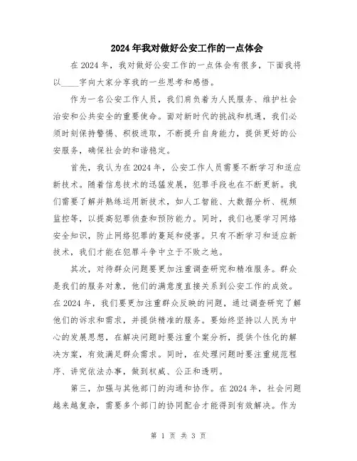 2024年我对做好公安工作的一点体会