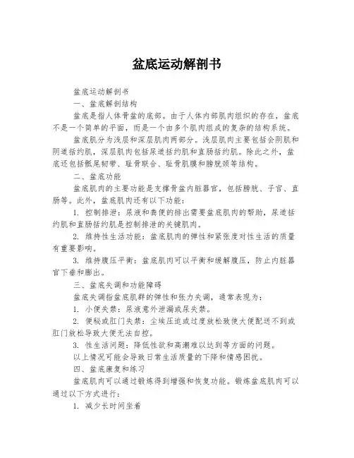 盆底运动解剖书