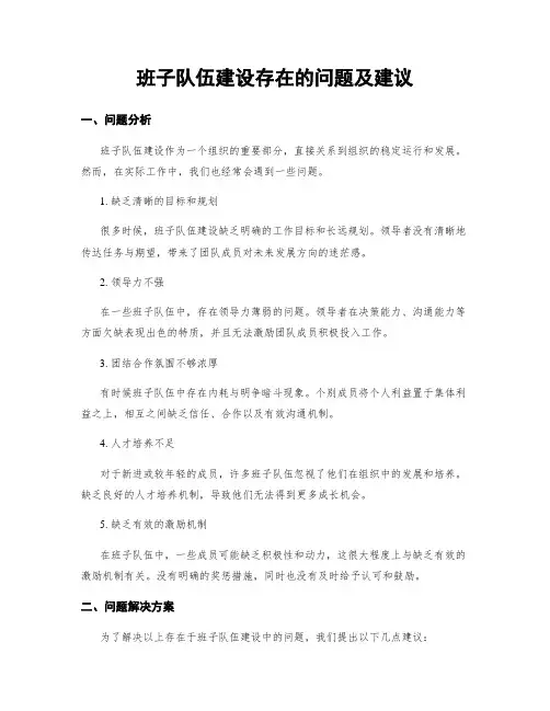 班子队伍建设存在的问题及建议