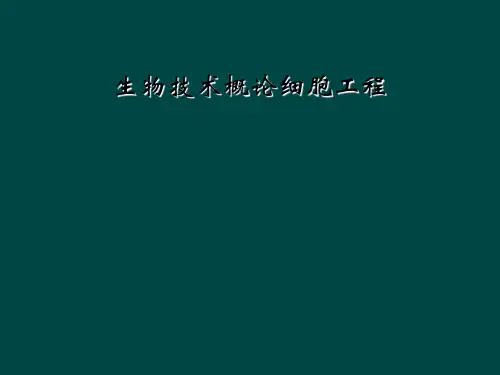 生物技术概论细胞工程