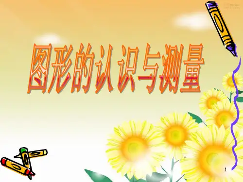(整理)小学六年级下册数学总复习《图形的认识与测量》课件