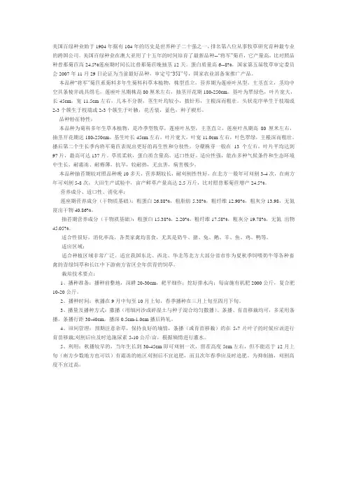 菊苣