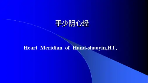 5.1经络与腧穴第五周