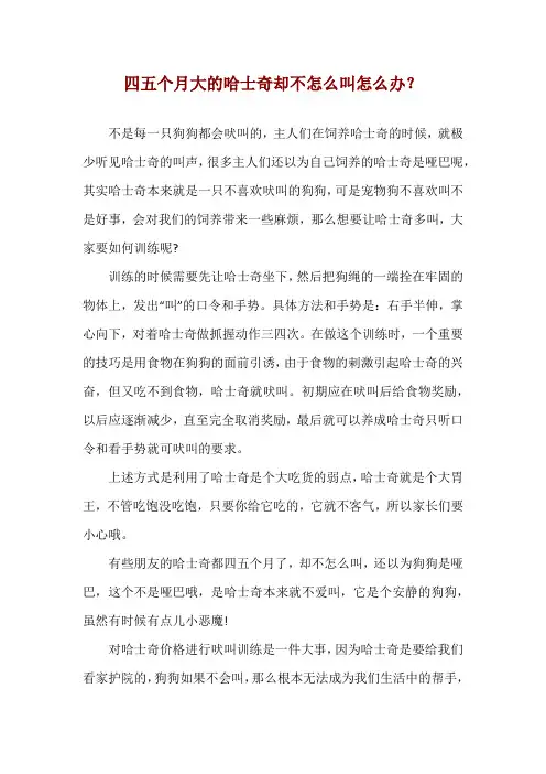 四五个月大的哈士奇却不怎么叫怎么办？