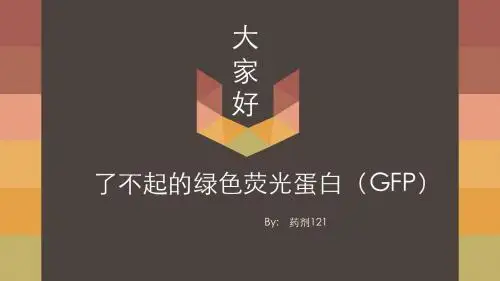 绿色荧光蛋白(GFP)