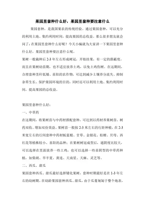 果园里套种什么好,果园里套种要注意什么.doc