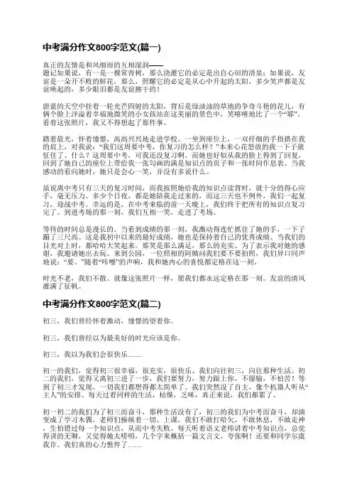 中考满分作文800字范文(精选十七篇)