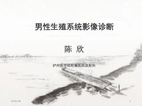4-男性生殖系统疾病影像诊断