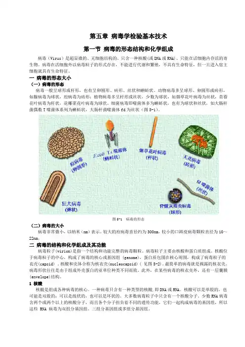 第五章 病毒学检验基本技术