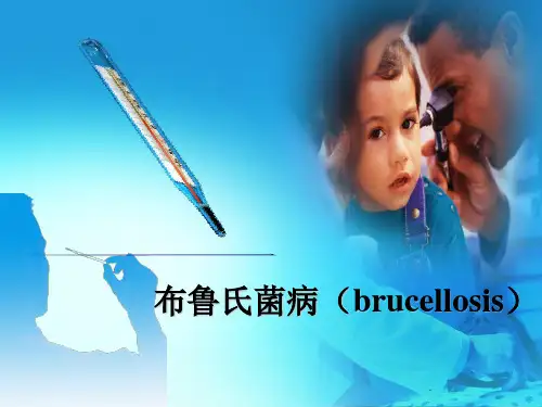 布鲁氏菌病知识PPT课件