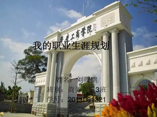 我的职业生涯规划