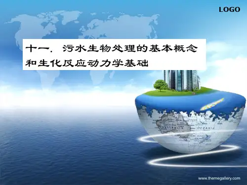 第11章生化反应动力学