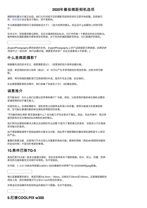 2020年最佳微距相机选项