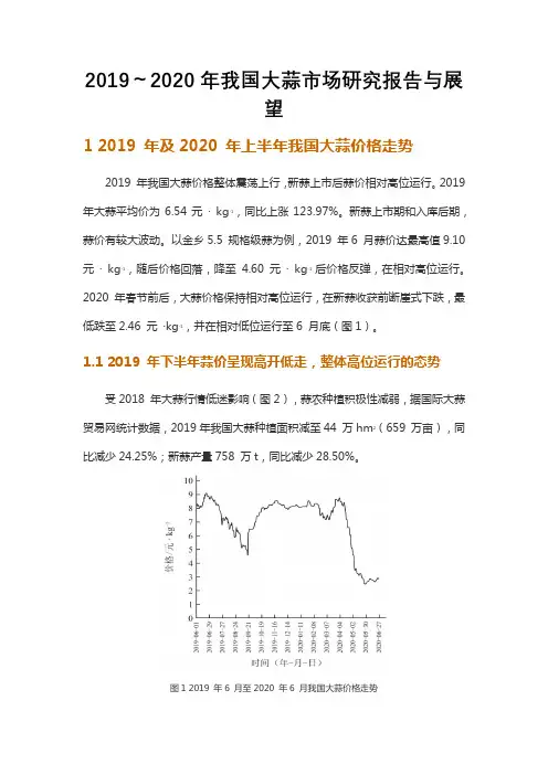 2019～2020年我国大蒜市场研究报告与展望