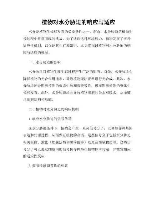 植物对水分胁迫的响应与适应