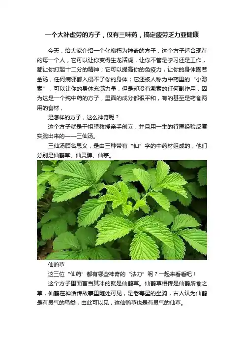 一个大补虚劳的方子，仅有三味药，搞定疲劳乏力亚健康