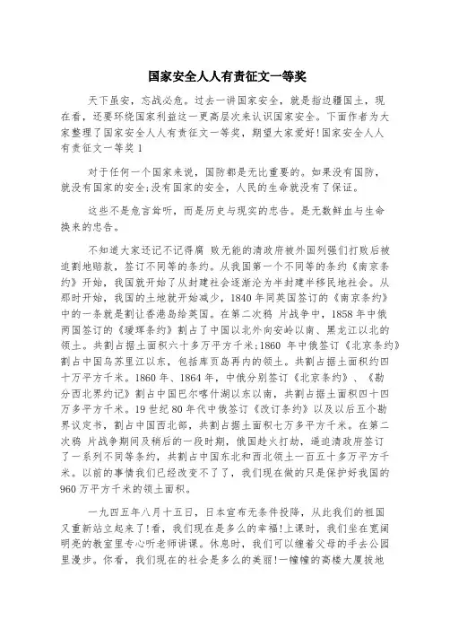 国家安全人人有责征文一等奖