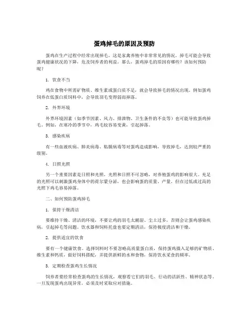 蛋鸡掉毛的原因及预防