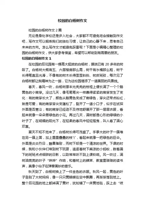 校园的白杨树作文