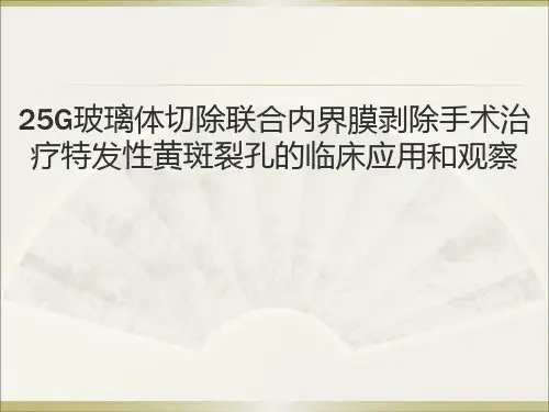 25G玻璃体切割术