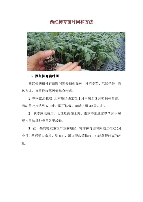 西红柿育苗时间和方法