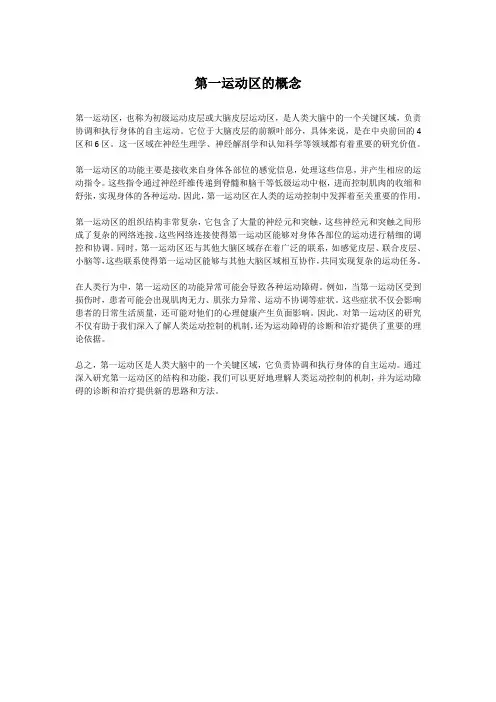 第一运动区的概念
