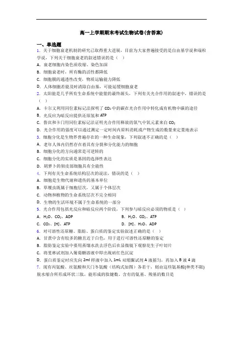高一上学期期末考试生物试卷(含答案)