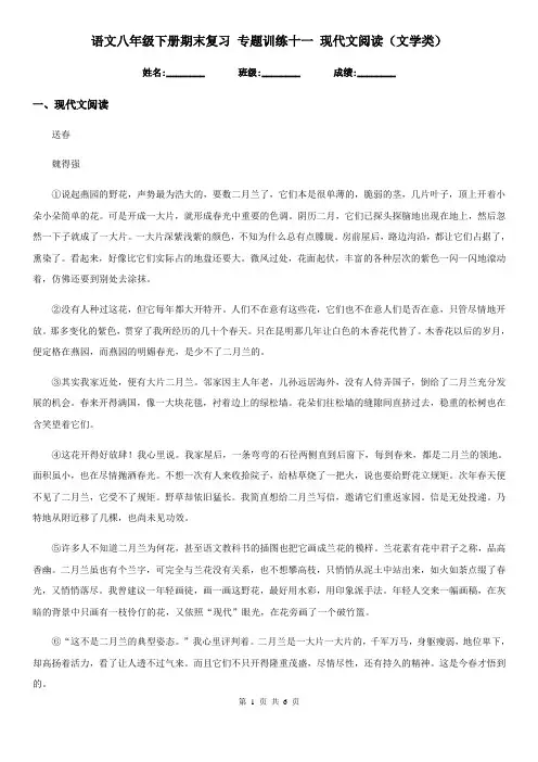 语文八年级下册期末复习 专题训练十一 现代文阅读(文学类)