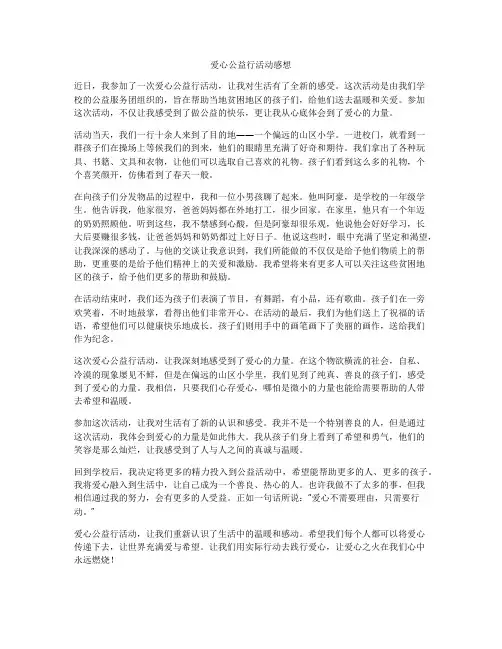 爱心公益行活动感想