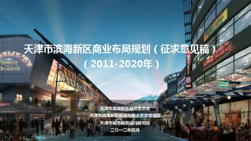 天津市滨海新区商业布局规划