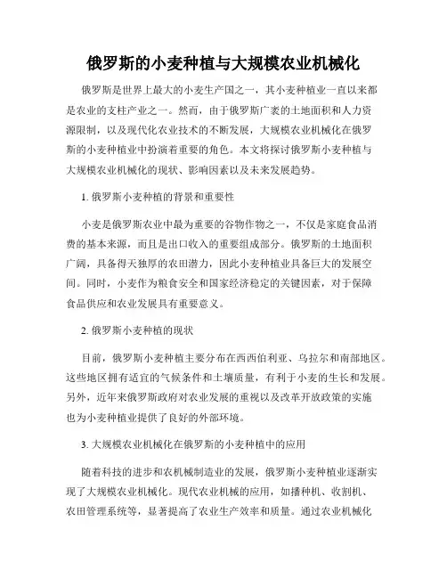 俄罗斯的小麦种植与大规模农业机械化