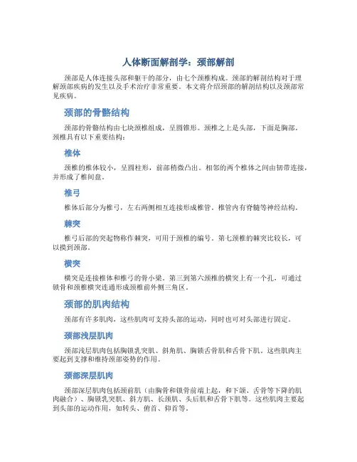 人体断面解剖学颈部解剖