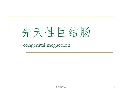 《先天性巨结肠》PPT课件