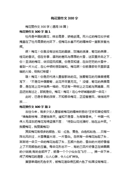 梅花赞作文300字（通用38篇）