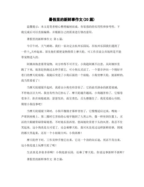 暑假里的新鲜事作文(20篇)精选范文