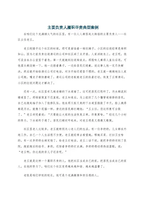 主要负责人履职尽责典型案例
