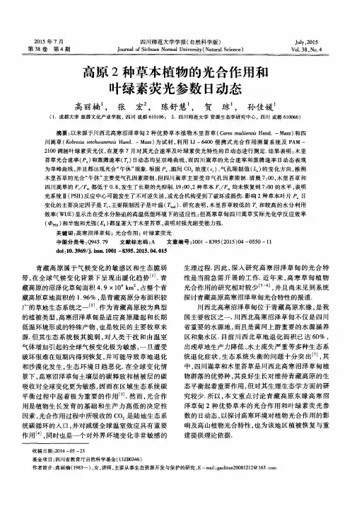 高原2种草本植物的光合作用和叶绿素荧光参数日动态