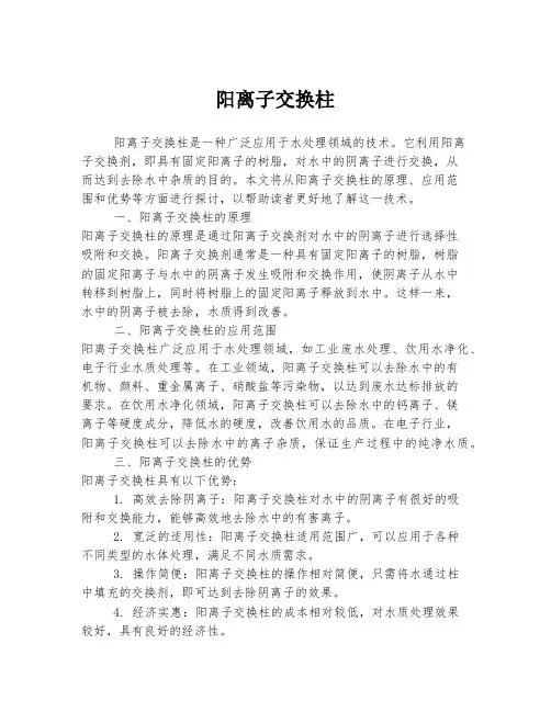 阳离子交换柱