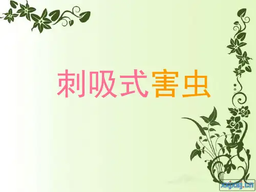 刺吸类害、潜叶类虫