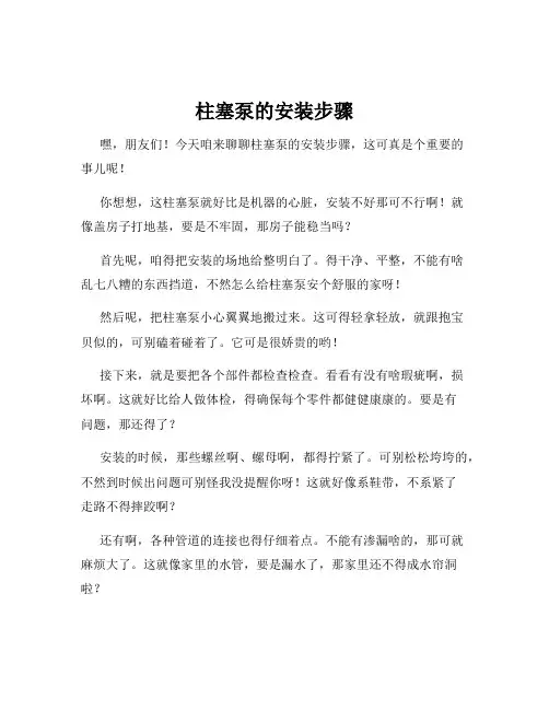 柱塞泵的安装步骤