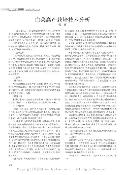 白菜高产栽培技术分析