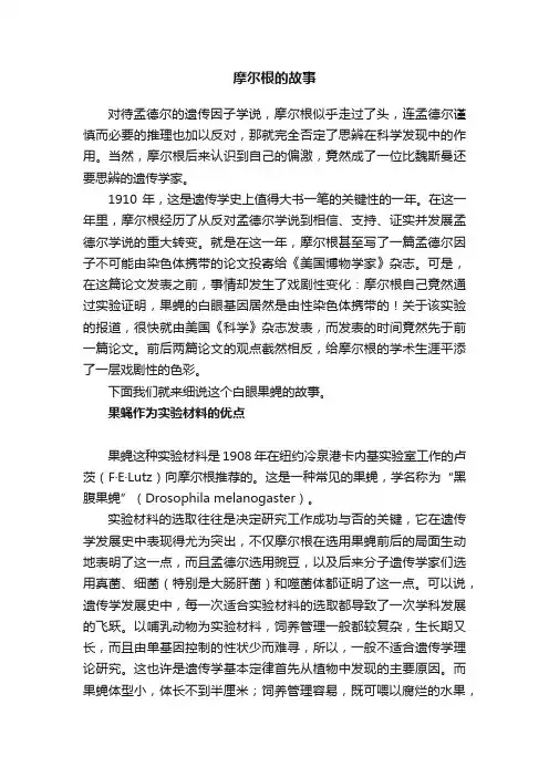 摩尔根的故事
