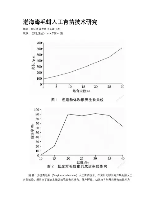 渤海湾毛蚶人工育苗技术研究