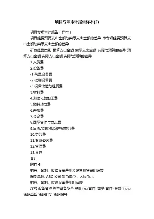 项目专项审计报告（样本）