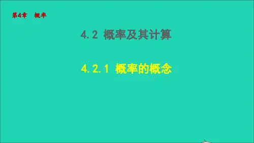 九年级下册第4章概率4、2概率及其计算4、2、1概率的概念新版湘教版