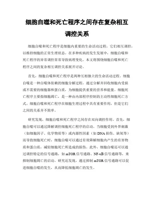 细胞自噬和死亡程序之间存在复杂相互调控关系