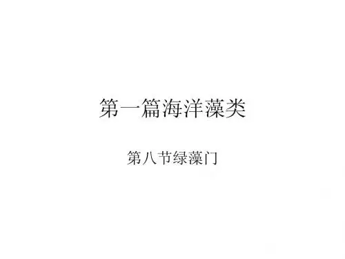 第一篇海洋藻类第八节绿藻门
